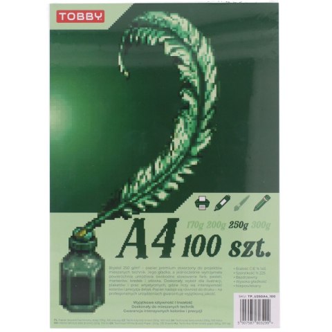 Papier Brystol A4 100 ark.250g Papier Brystol A4 100 ark.250g