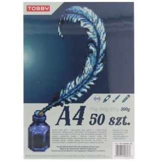 Papier Brystol A4 50 ark.300g