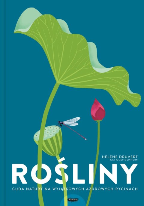 Rośliny. Cuda natury na wyjątkowych ażurowych rycinach Rośliny. Cuda natury na wyjątkowych ażurowych rycinach