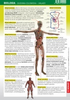 Biologia. Budowa człowieka - układy. Karta edukacyjna