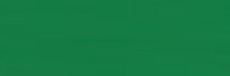 Brystol kolorowy Happy Color 170g A3 25 arkuszy ciemnozielony Brystol kolorowy Happy Color 170g A3 25 arkuszy ciemnozielony