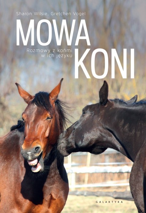 Mowa koni. Rozmowy z końmi w ich języku. Mowa koni. Rozmowy z końmi w ich języku.