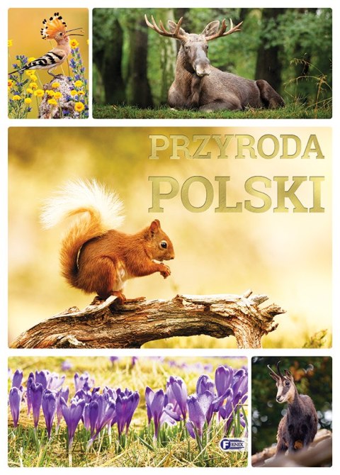 Przyroda Polski Przyroda Polski