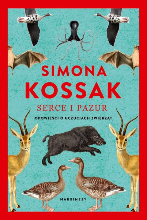 Serce i pazur. Opowieści o uczuciach zwierząt wyd. 2 Serce i pazur. Opowieści o uczuciach zwierząt wyd. 2