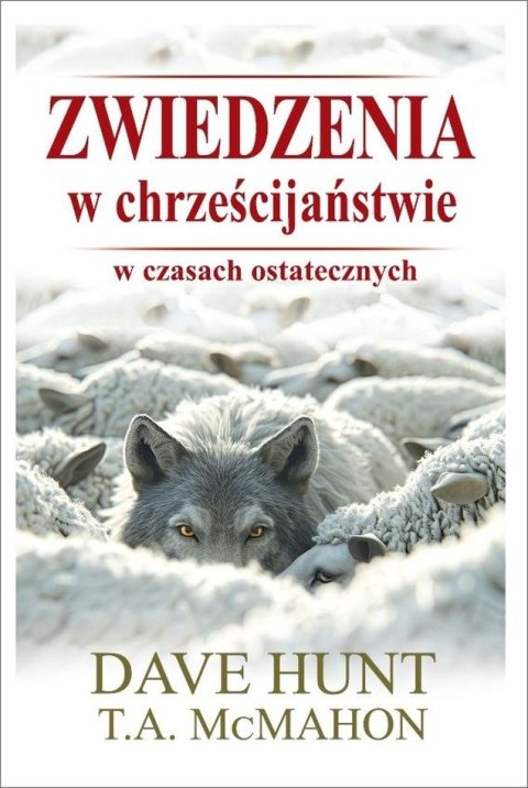 Zwiedzenia w chrześcijaństwie w czasach ostatecznych