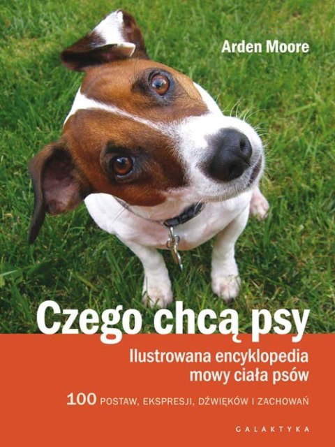 Czego chcą psy ilustrowana encyklopedia mowy ciała psów 100 pozycji wyrazów pyska dźwięków i zachowań Czego chcą psy ilustrowana encyklopedia mowy ciała psów 100 pozycji wyrazów pyska dźwięków i zachowań