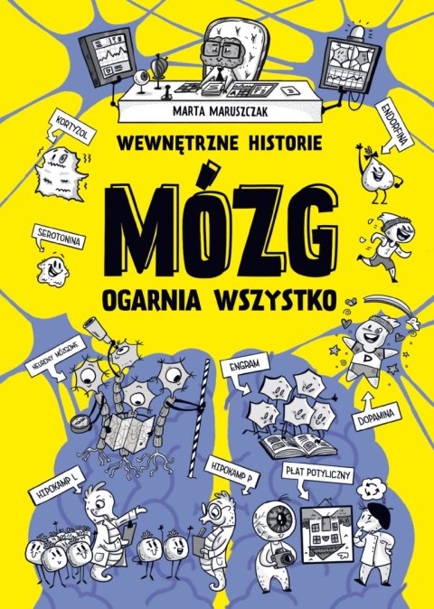 Wewnętrzne historie. Mózg ogarnia wszystko Wewnętrzne historie. Mózg ogarnia wszystko