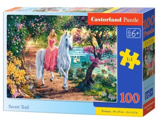 Puzzle 100 Sekretny szlak B-111114
