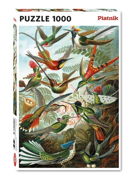 Puzzle 1000 Haeckel Kolibry Puzzle 1000 Haeckel Kolibry