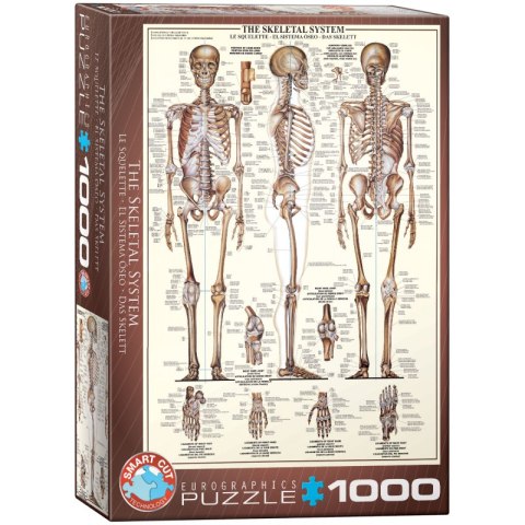 Puzzle 1000 The Skeletal System 6000-3970 Puzzle 1000 The Skeletal System 6000-3970