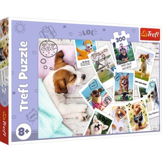 Puzzle 300 Zdjęcia z wakacji 23003
