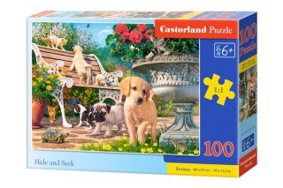 Puzzle 100 Chowanie i szukanie B-111220