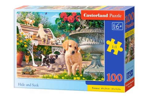 Puzzle 100 Chowanie i szukanie B-111220