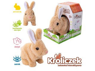 Króliczek na baterie brązowy