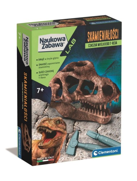 Skamieniałości czaszka T-REXA 50790 Skamieniałości czaszka T-REXA 50790