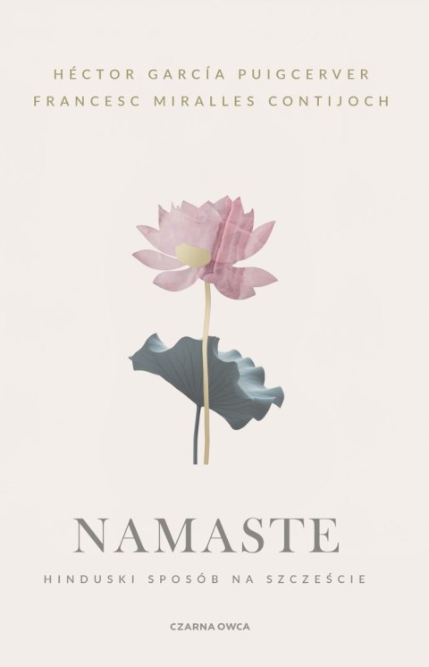 Namaste. Hinduski sposób na szczęście