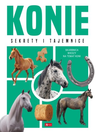 Konie. Sekrety i tajemnice