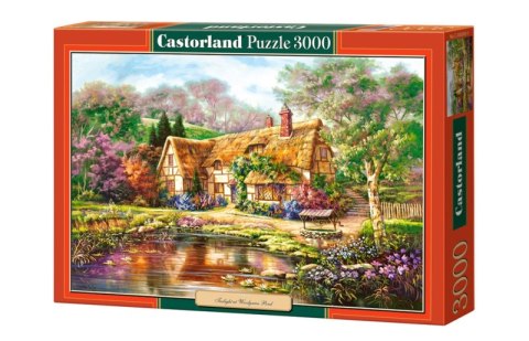 Puzzle 3000 Kopia Twilight Staw Woodgreen C-300365-2