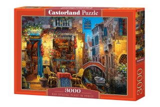 Puzzle 3000 Nasze specjalne miejsce w Wenecji C-300426-2