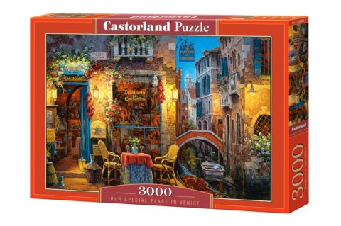 Puzzle 3000 Nasze specjalne miejsce w Wenecji C-300426-2