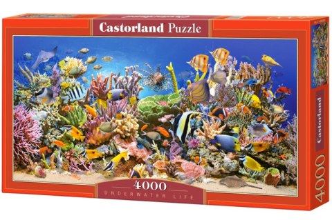 Puzzle 4000 Podwodne życie C-400089-2 Puzzle 4000 Podwodne życie C-400089-2