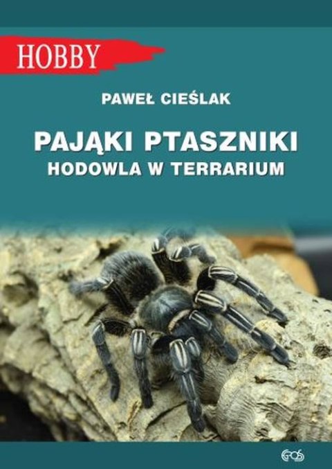 Pająki ptaszniki. Hodowla w terrarium wyd. 4 Pająki ptaszniki. Hodowla w terrarium wyd. 4