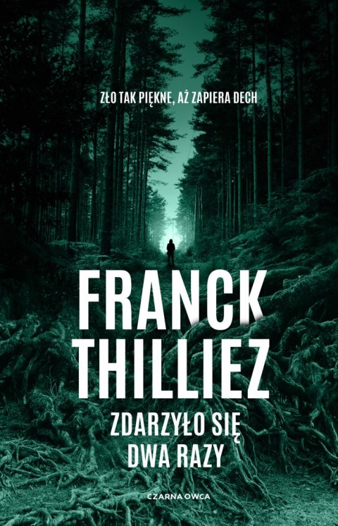 Zdarzyło się dwa razy Zdarzyło się dwa razy