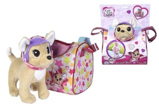 Piesek Chihuahua Chi Chi love stylizacja sportowa