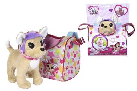 Piesek Chihuahua Chi Chi love stylizacja sportowa
