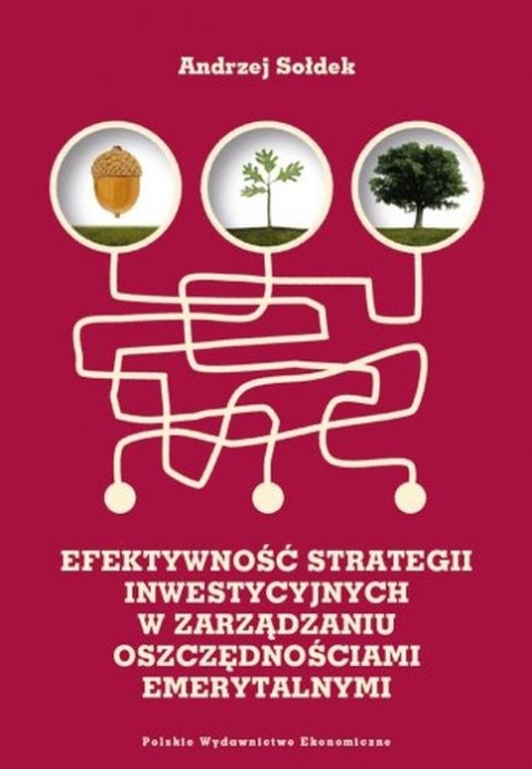 Efektywność strategii inwestycyjnych w zarządzaniu oszczędnościami emerytalnymi Efektywność strategii inwestycyjnych w zarządzaniu oszczędnościami emerytalnymi