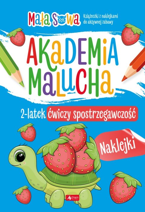 2 latek ćwiczy spostrzegawczość. Akademia malucha