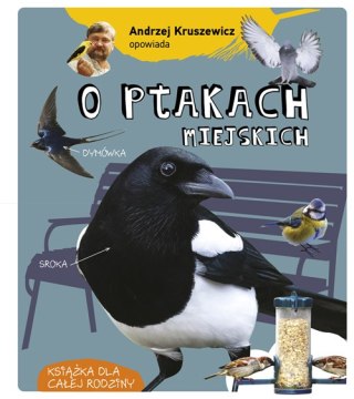 Andrzej Kruszewicz opowiada o ptakach miejskich