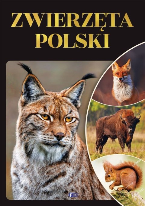 Zwierzęta Polski Zwierzęta Polski