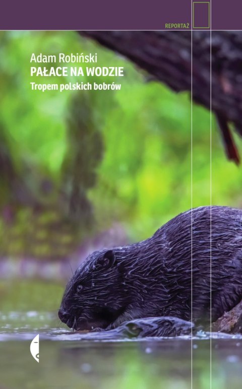 Pałace na wodzie. Tropem polskich bobrów Pałace na wodzie. Tropem polskich bobrów