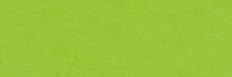 Brystol kolorowy Happy Color 170g A4 25 arkuszy jasnozielony