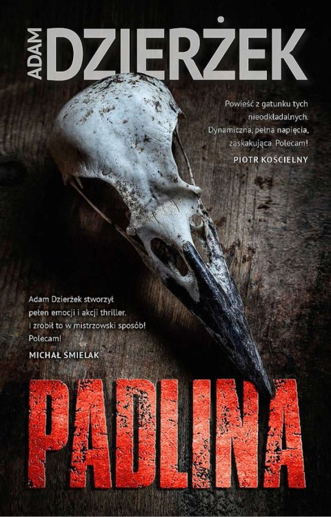 Padlina Padlina