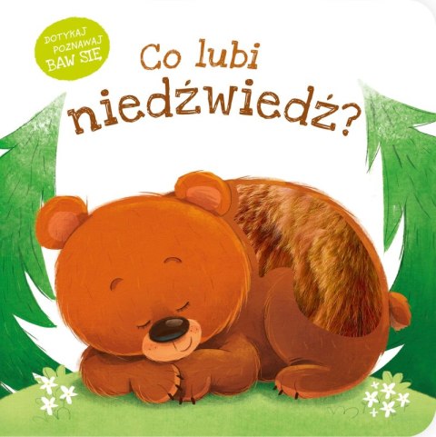 Co lubi niedźwiedź? Co lubi Co lubi niedźwiedź? Co lubi
