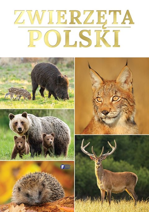 Zwierzęta Polski Zwierzęta Polski