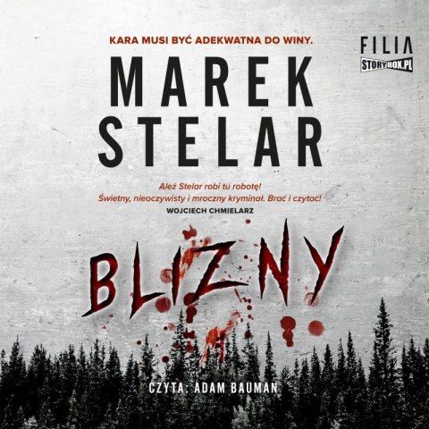 CD MP3 Blizny. Nadkomisarz Rędzia. Tom 1 CD MP3 Blizny. Nadkomisarz Rędzia. Tom 1