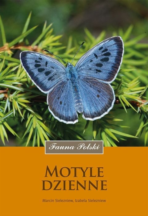 Motyle dzienne wyd. 2024 Motyle dzienne wyd. 2024