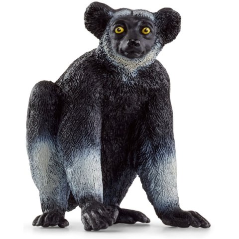 Indris Wild Life SLH14877