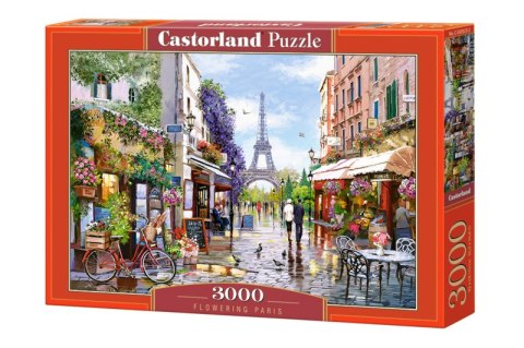 Puzzle 3000 Paryż C-300525-2