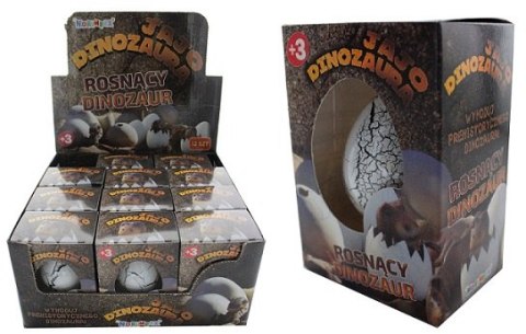 Dinozaur rosnący w jajku-standard