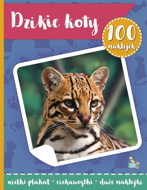 Dzikie koty. 100 naklejek z plakatem