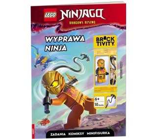 Lego Ninjago Wyprawa Ninja LNC-6738
