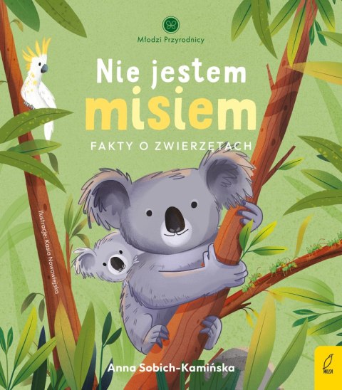 Nie jestem misiem. Fakty o zwierzętach. Młodzi przyrodnicy