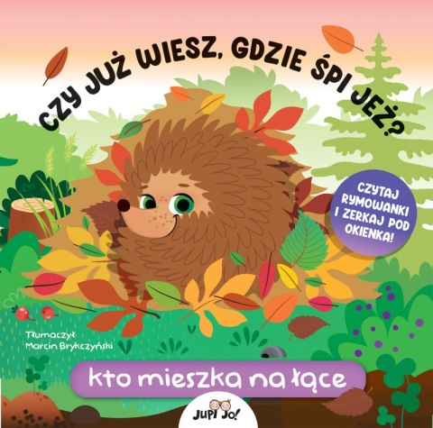 Czy już wiesz, gdzie śpi jeż? Kto mieszka na łące