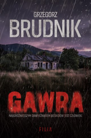 Gawra GRZEGORZ BRUDNIK