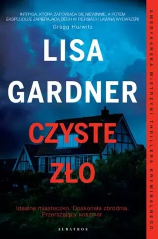 Czyste zło. Detektyw D.D. Warren. Tom 11