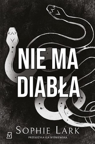 Nie ma diabła